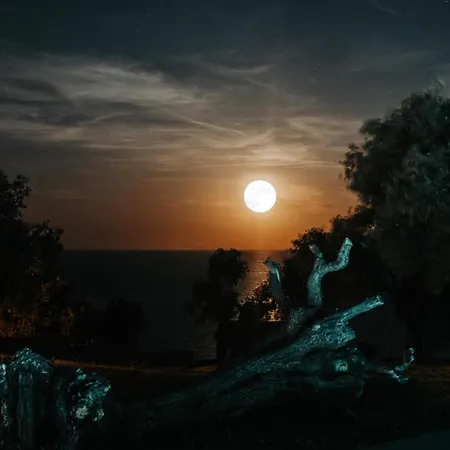 Olive Blue Thassos Luxury Вилла Астрис