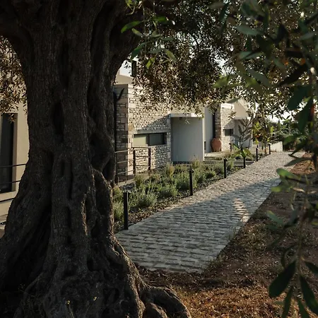 Olive Blue Thassos Luxury Villa *