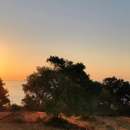 Olive Blue Thassos Luxury Villa *